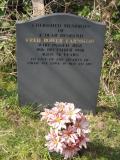 image of grave number 293351